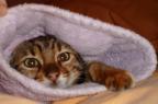 Jasmine comfortable in a dressing gown