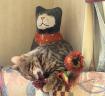 Jasmine the Bengal Cat Got them!