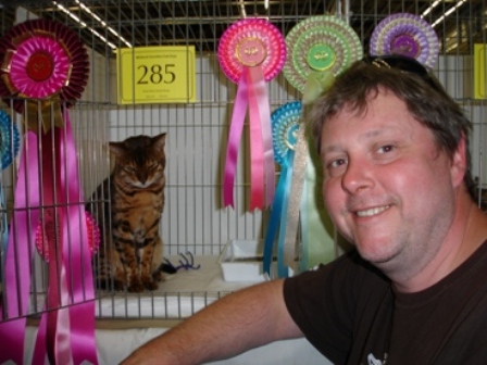 Bengal Cat Show News